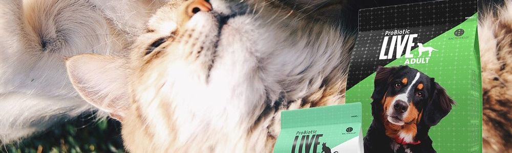 Studie bestätigt positive Wirkung von Enterococcus faecium auf das Mikrobiom