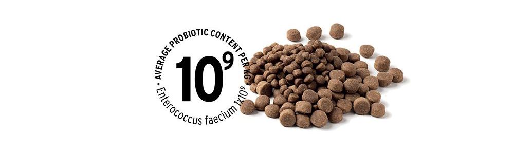 Warum sollte man Tierfutter mit Prä- und Probiotika verwenden?
