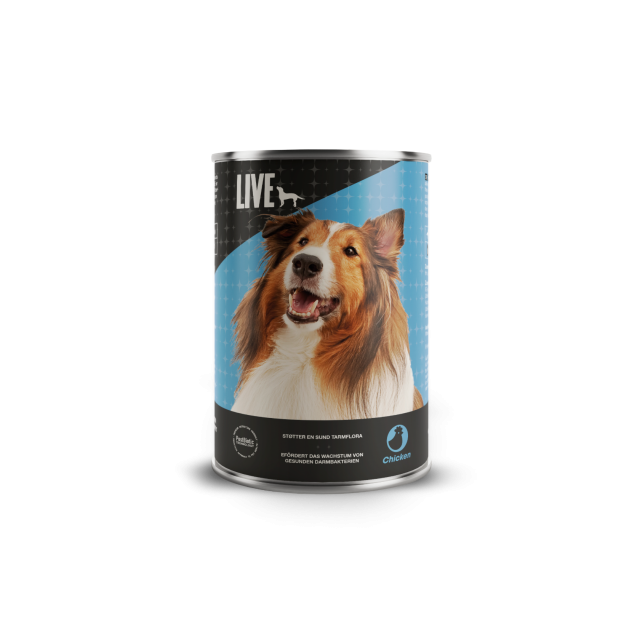 LIVE Dog Wet Huhn