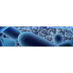 Microcalorimetric study of extruded dog food containing probiotic micro-organisms
