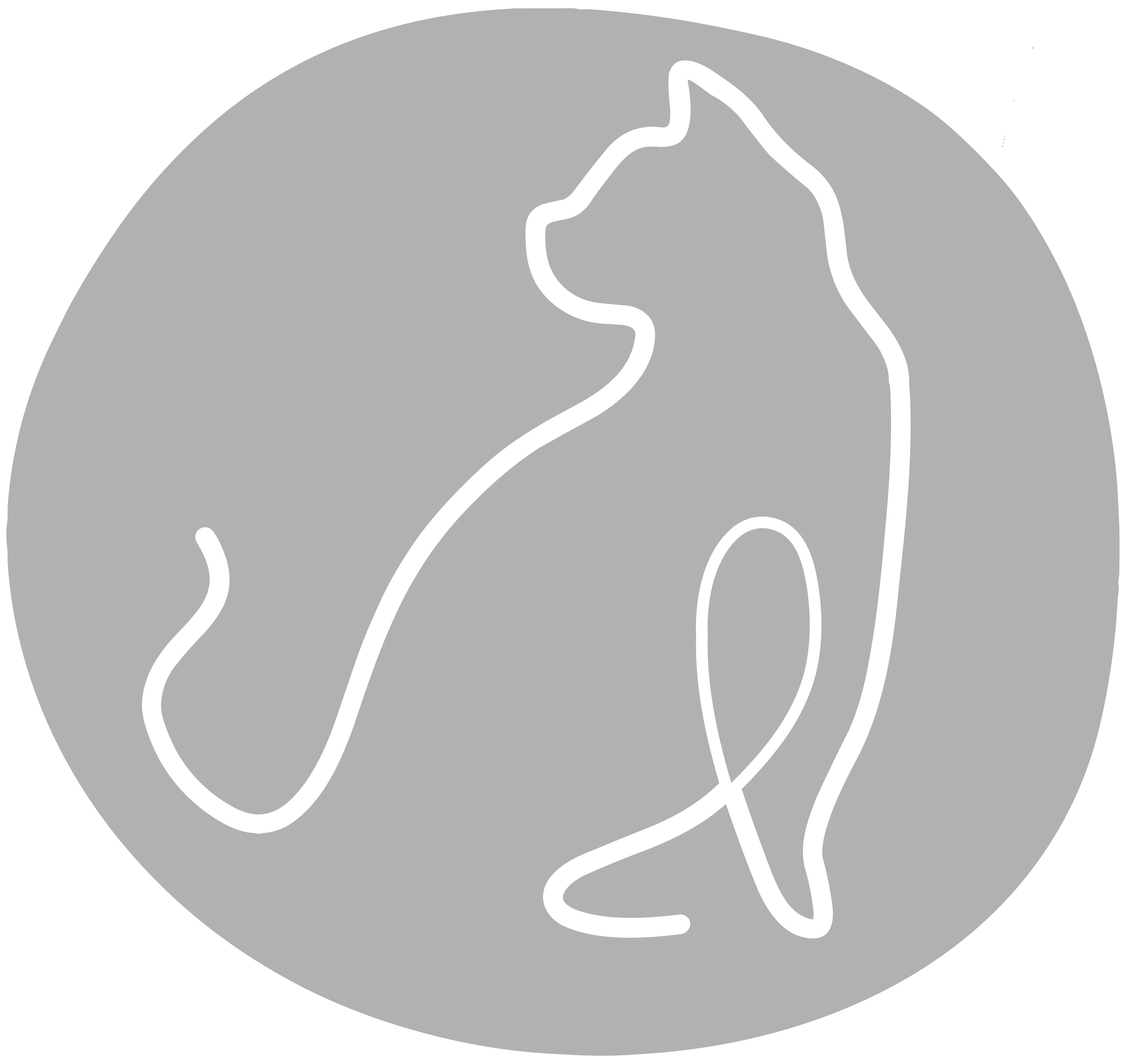 LIVE für Katzen